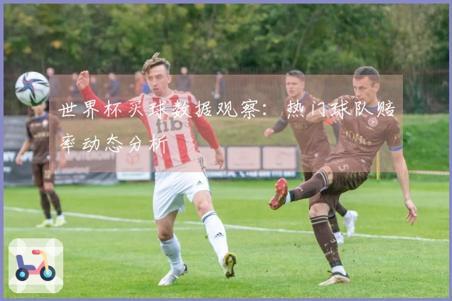 世界杯买球数据观察：热门球队赔率动态分析