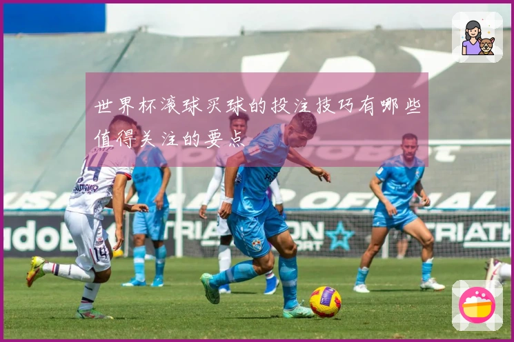 世界杯滚球买球的投注技巧有哪些值得关注的要点