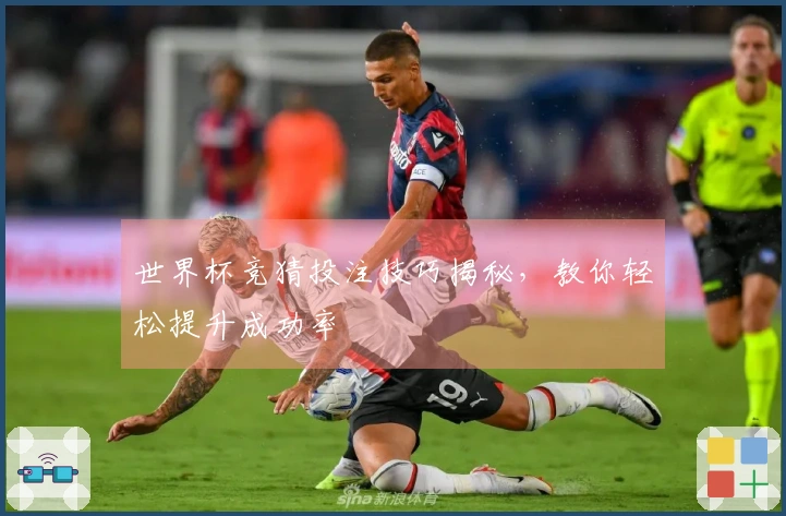 世界杯竞猜投注技巧揭秘，教你轻松提升成功率